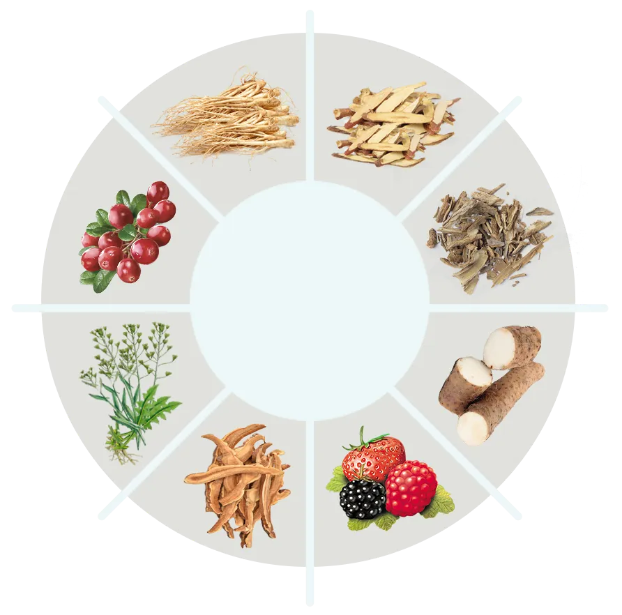 BackBiome™ Natural Ingredients